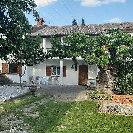 Šmarje Country House Gazonゲストハウス エクステリア 写真